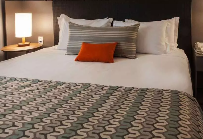 酒店 Wyndham Sao Paulo Berrini