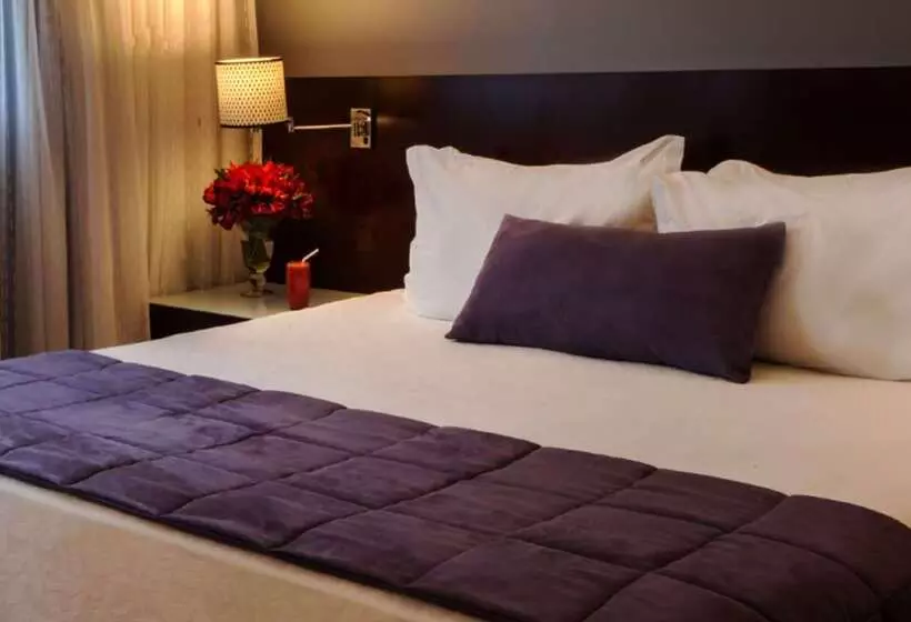 酒店 Wyndham Sao Paulo Berrini