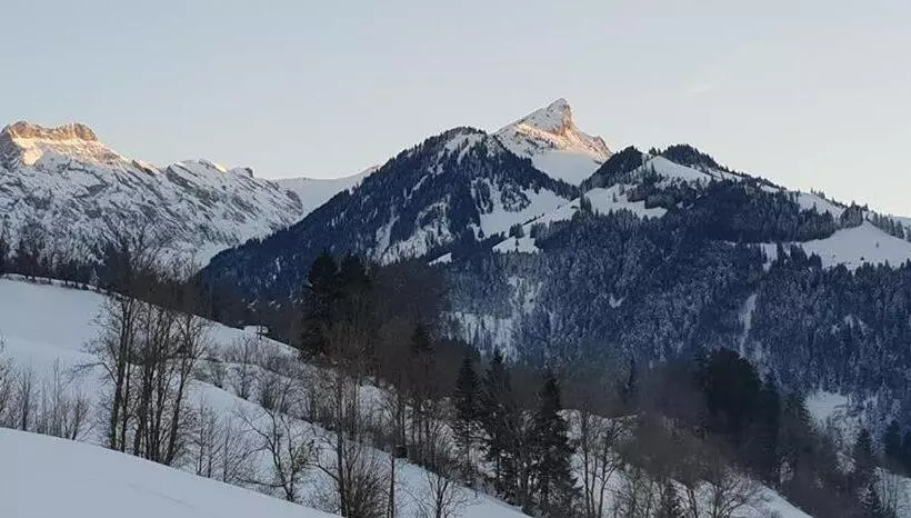 Retkeilymaja Gasthof Engelberg