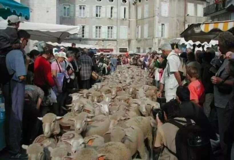 ホテル Auberge De La Planquette