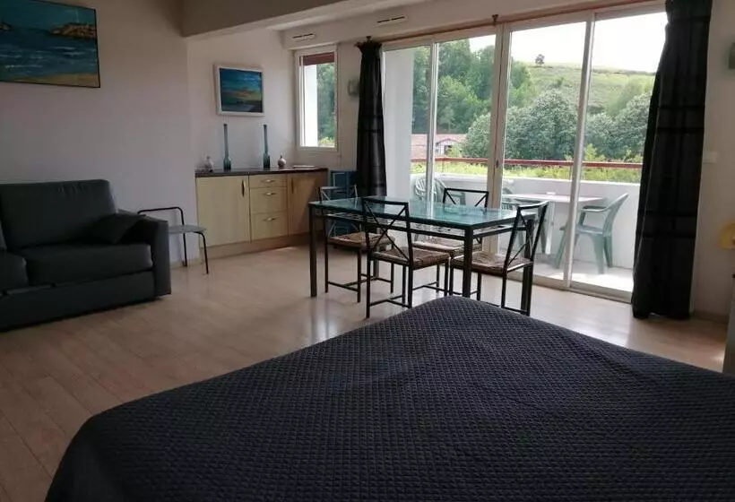 酒店 Hôtel Résidence Bergara