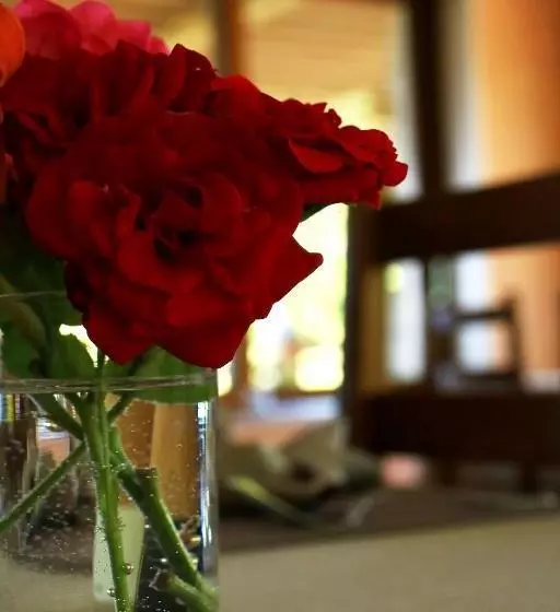 호텔 La Source Jacquet Depuis 1954 Hôtel Et Studio