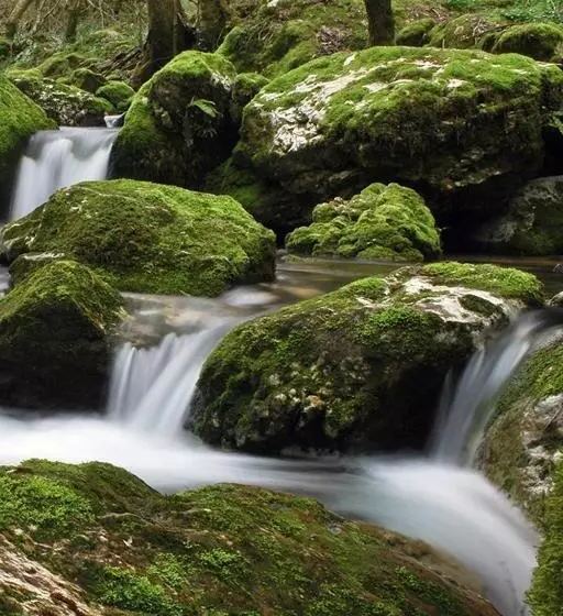 Logis Hotel Restaurant Le Bellevue