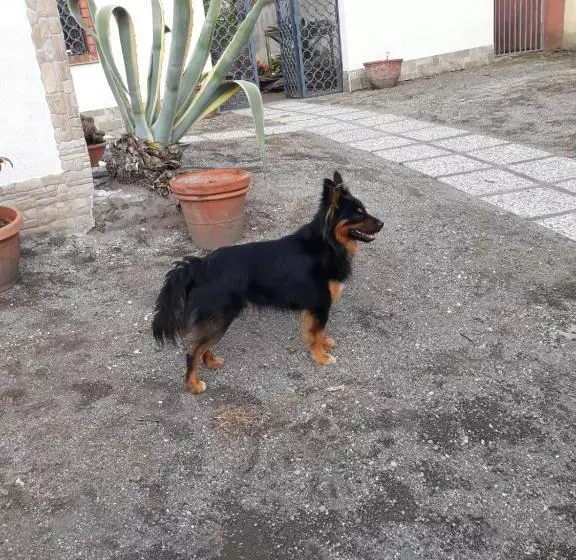 Aamiaismajoitus (B&B) Villateresa