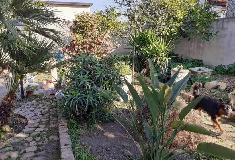 Aamiaismajoitus (B&B) Villateresa