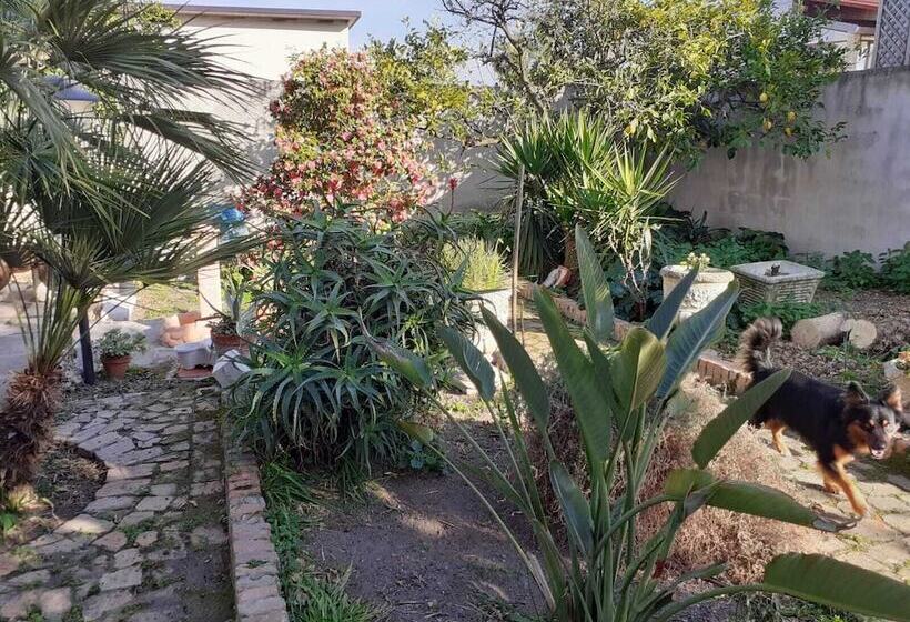 تختخواب و صبحانه Villateresa