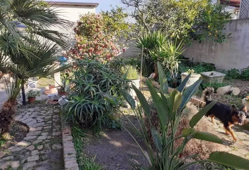 Aamiaismajoitus (B&B) Villateresa