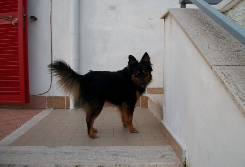 تختخواب و صبحانه Villateresa