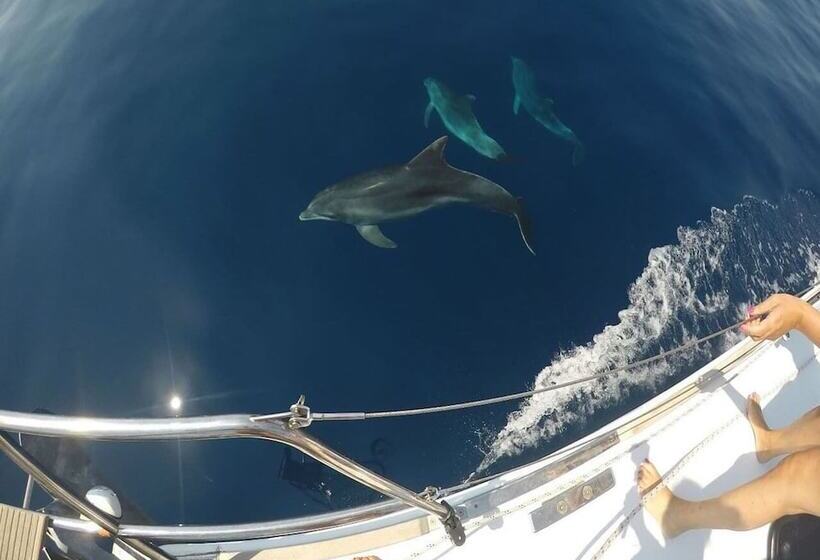 Хостел Delfina