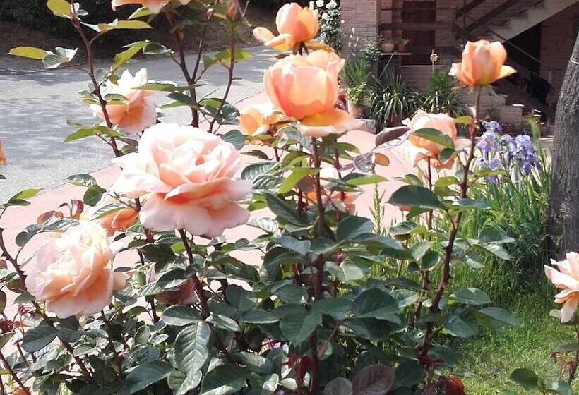 בית מלון כפרי Agriturismo Doremi