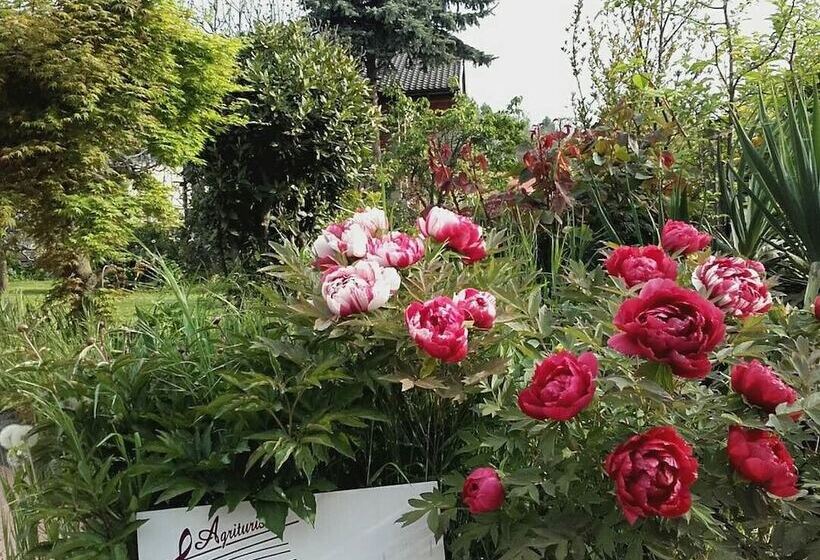 בית מלון כפרי Agriturismo Doremi