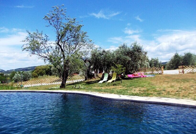 교외 호텔 Agriturismo Il Poderino