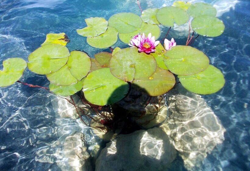 교외 호텔 Agriturismo Il Poderino