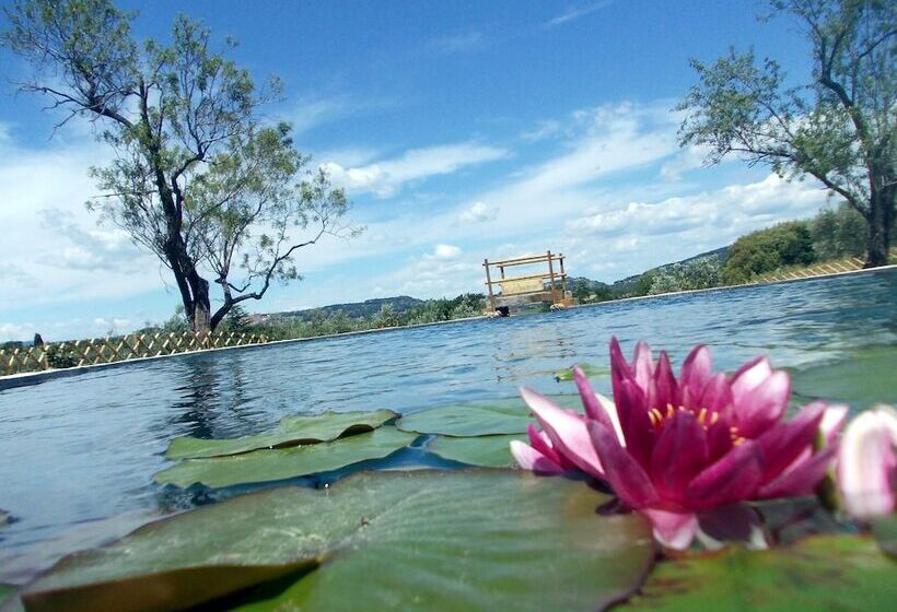 교외 호텔 Agriturismo Il Poderino