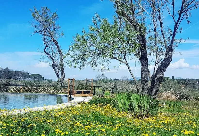 Maaseutuhotelli Agriturismo Il Poderino