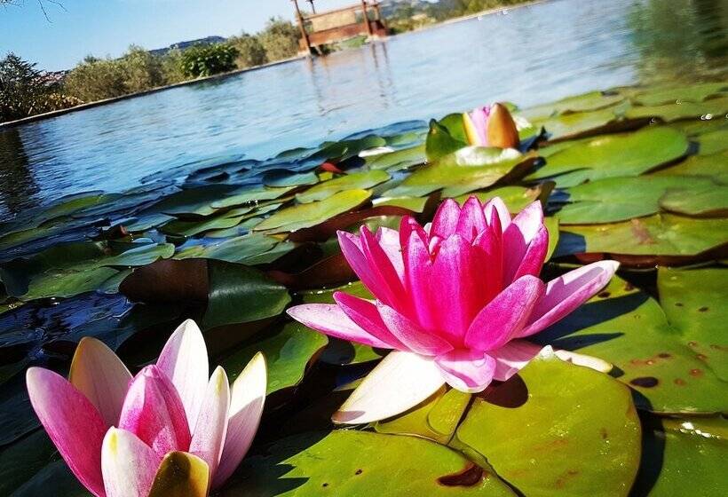 교외 호텔 Agriturismo Il Poderino