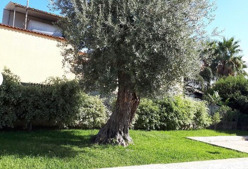 بنسيون Villa Dany