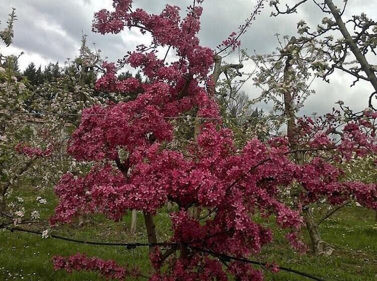 Сельский отель Agriturismo Il Melo