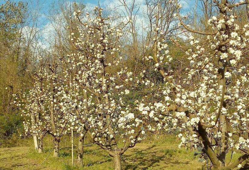Сельский отель Agriturismo Il Melo