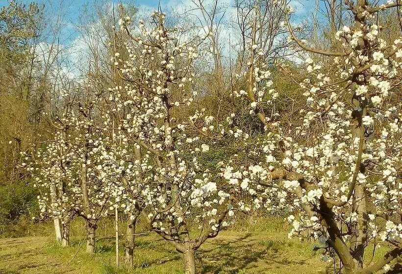 田舎風ホテル Agriturismo Il Melo