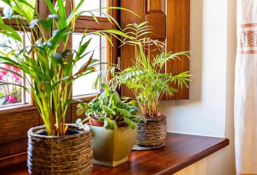 膳宿费 Affittacamere Is Coronas