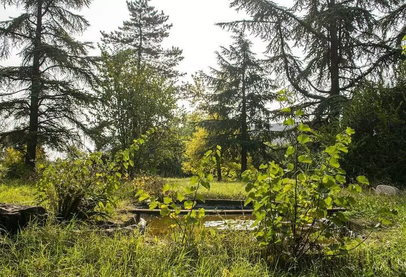 ペンション Villa Principi Della Spina