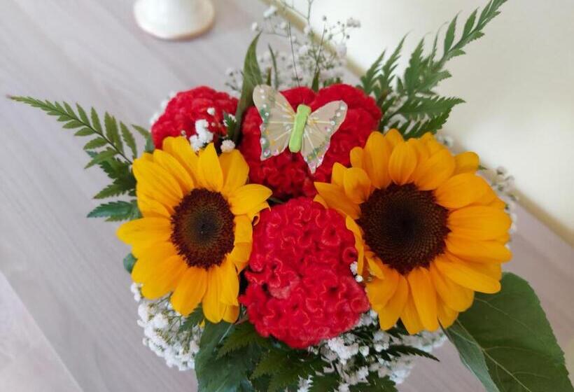 Agriturismo Aiolia Panorama Eolie