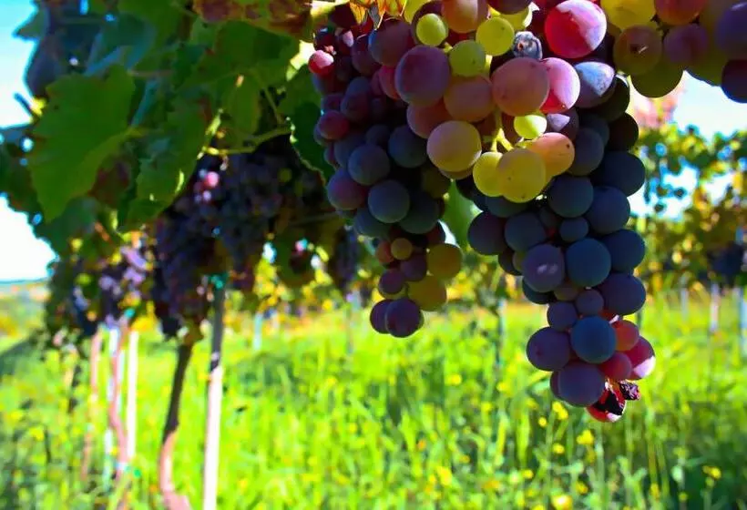 Agriturismo Aiolia   Panorama Eolie