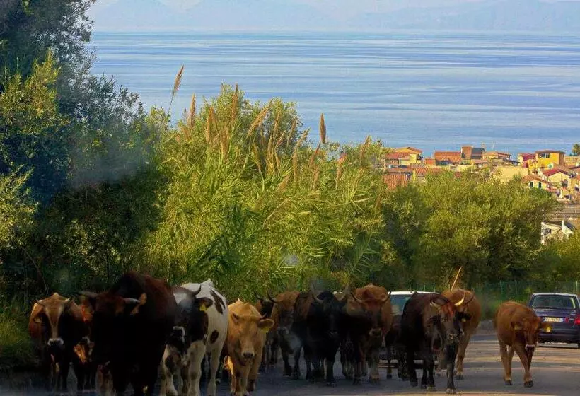 Agriturismo Aiolia   Panorama Eolie