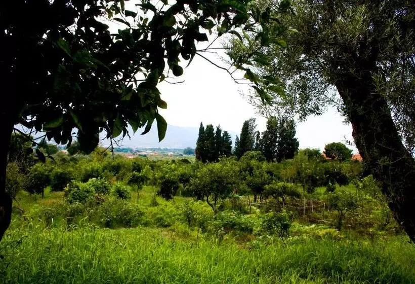 Agriturismo Aiolia   Panorama Eolie