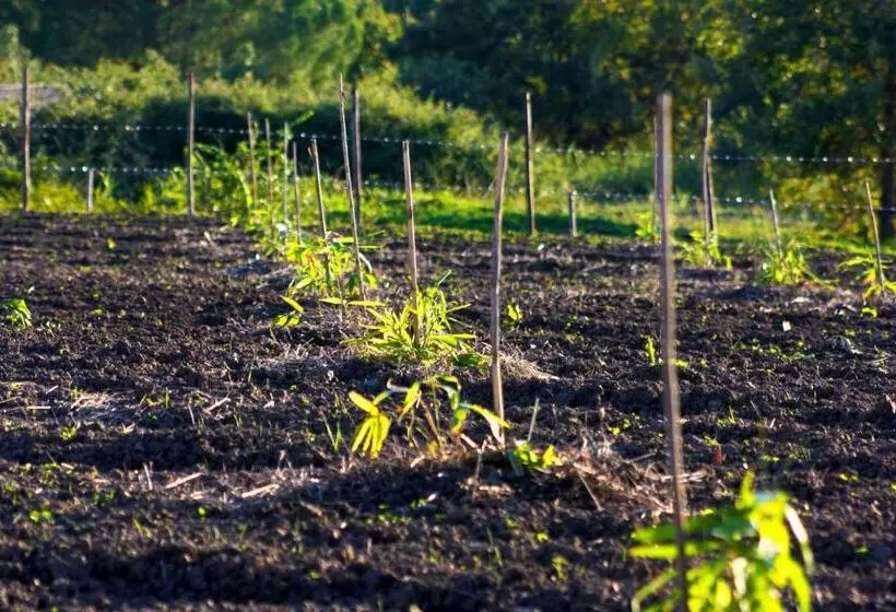 Agriturismo Aiolia   Panorama Eolie