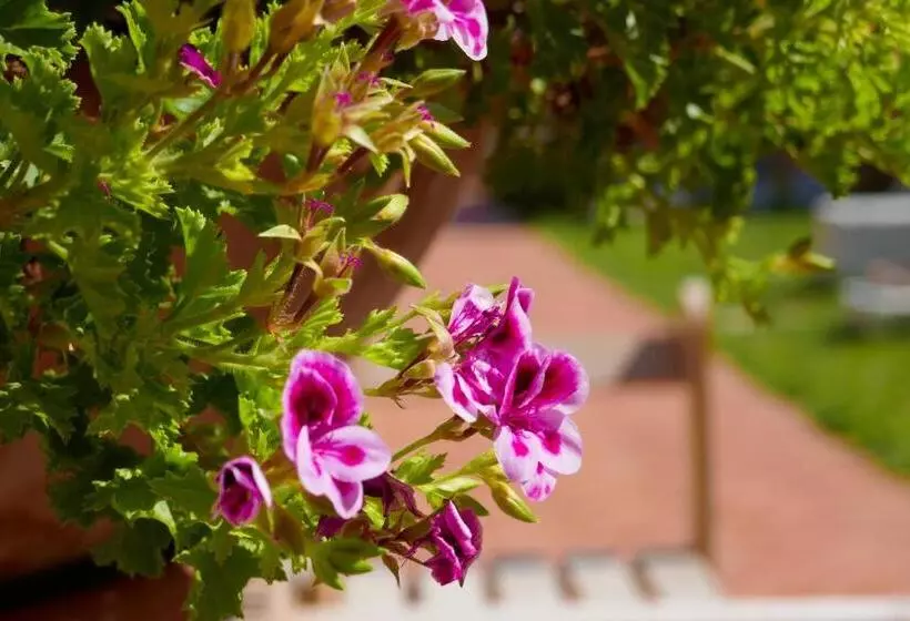 Agriturismo Aiolia   Panorama Eolie