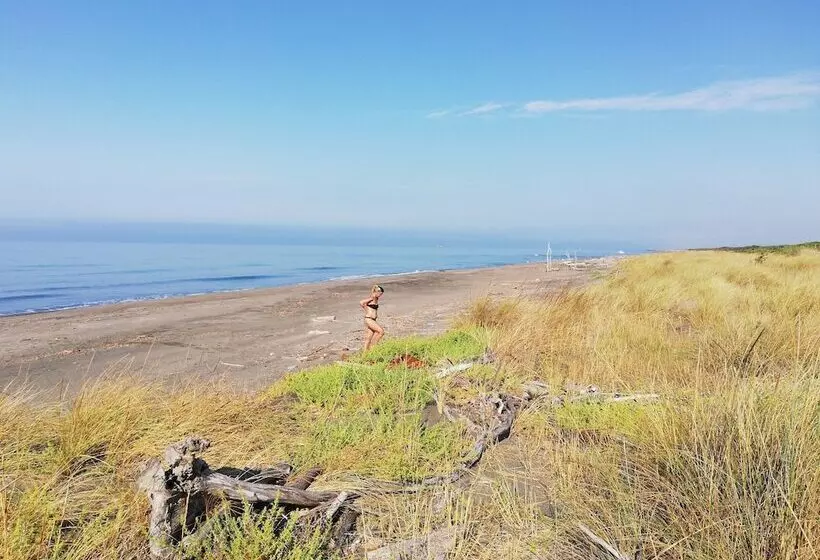 B&b Camere Montalto Centro