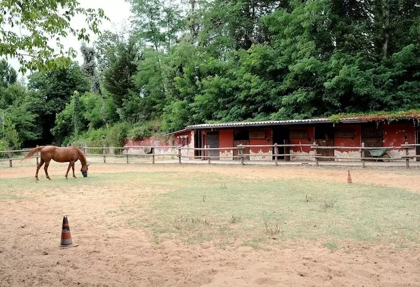 B&b Circolo Ippico Semprevisa