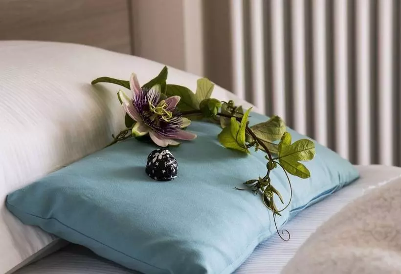 Casa Borgo Regina B&b  Bari Puglia Apartments