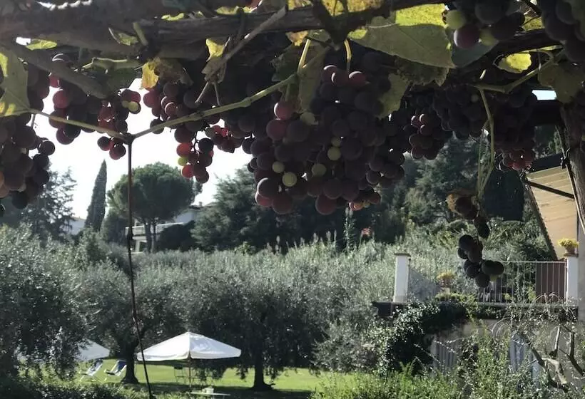 田舎風ホテル Agriturismo Il Cardo
