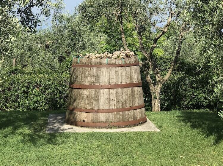 Сельский отель Agriturismo Il Cardo