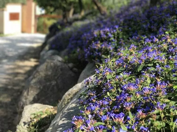 田舎風ホテル Agriturismo Il Cardo