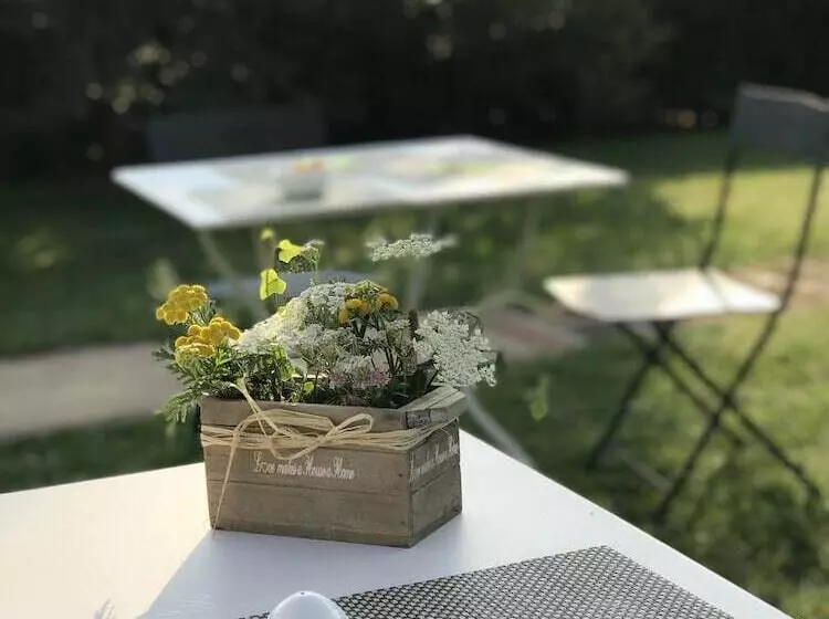 田舎風ホテル Agriturismo Il Cardo