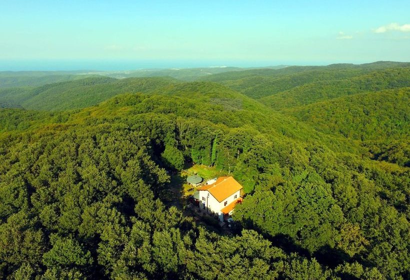 乡村酒店 Rifugio Sfilzi