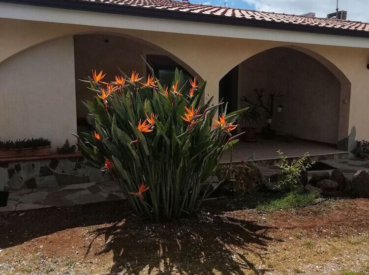 Bed and Breakfast Da Patrizia