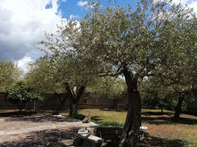 Bed and Breakfast Da Patrizia