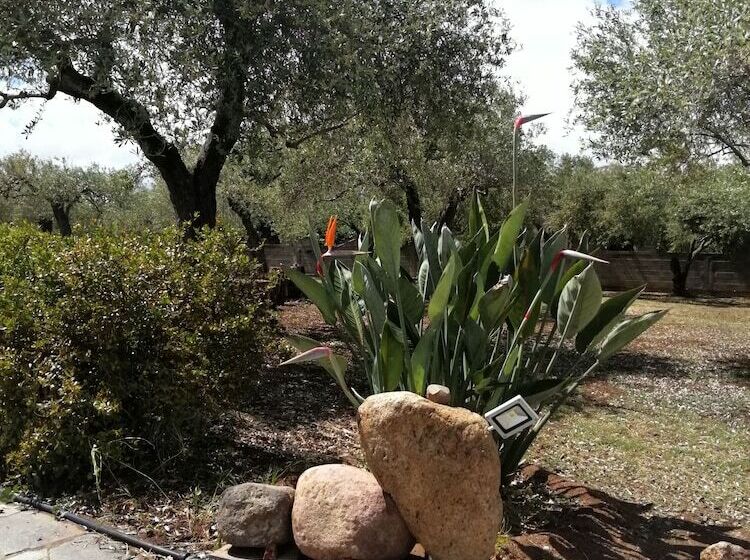 Bed and Breakfast Da Patrizia