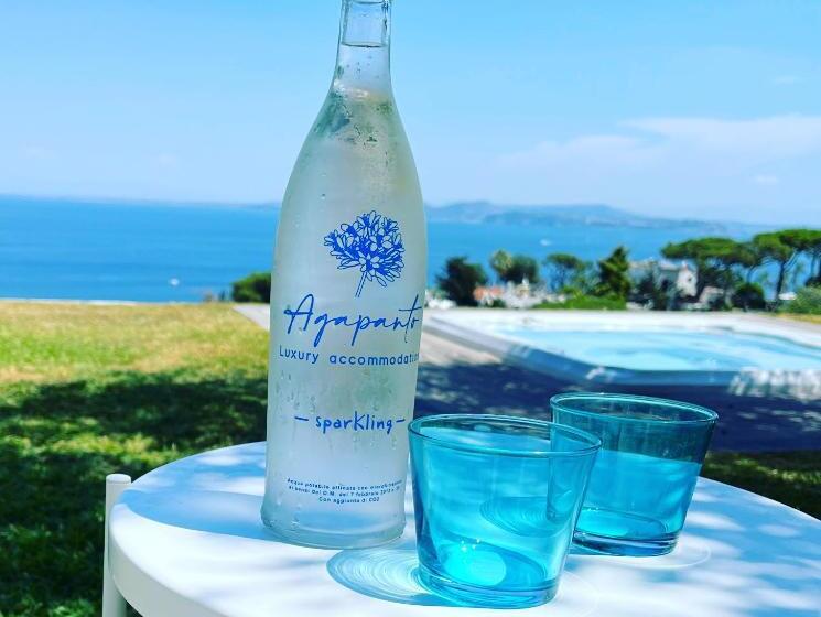 Пансион Agapanto Luxury Accommodation