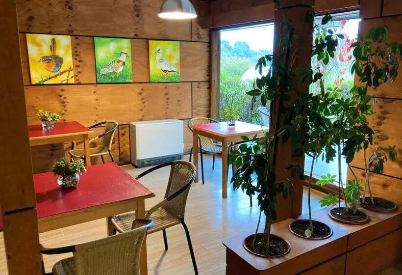 Хостел Truyaca