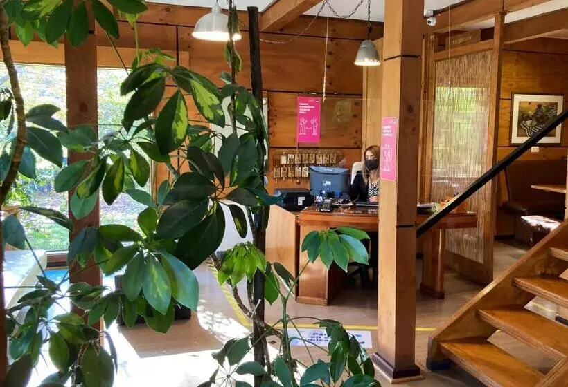 Хостел Truyaca