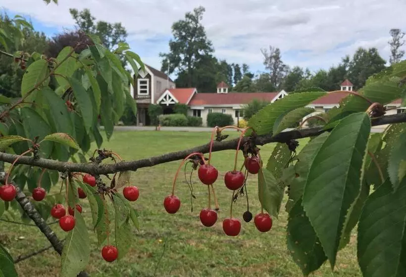 Хостел Truyaca