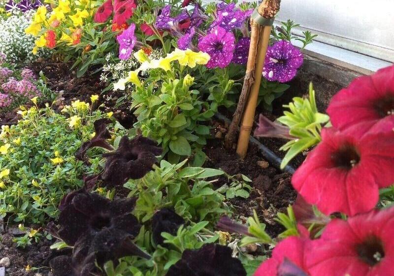 בית מלון כפרי Ristorante Albergo Corona