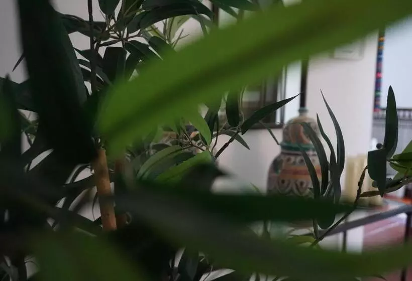 Hotelli Rompeolas Playa