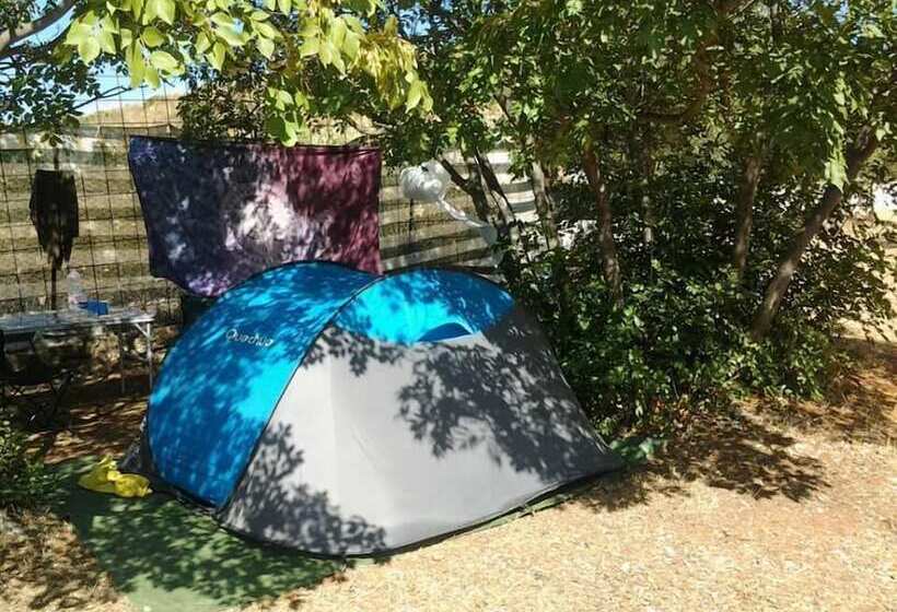 בית מלון כפרי Camping Ciauli